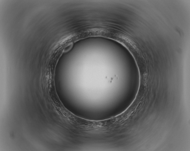 X0000113291111200909141158