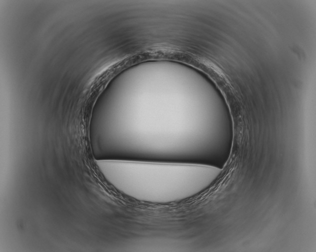 X0000113291112200909141158