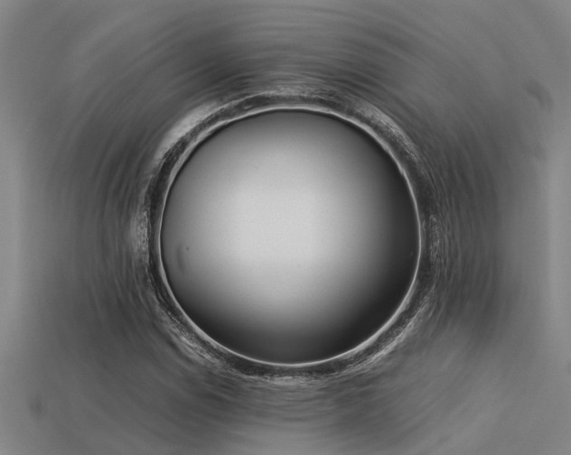 X0000113291114200909141158