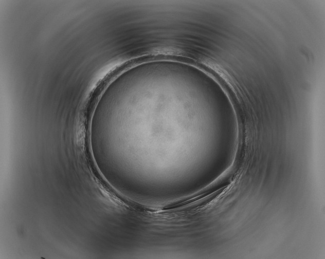 X0000113291115200909141158