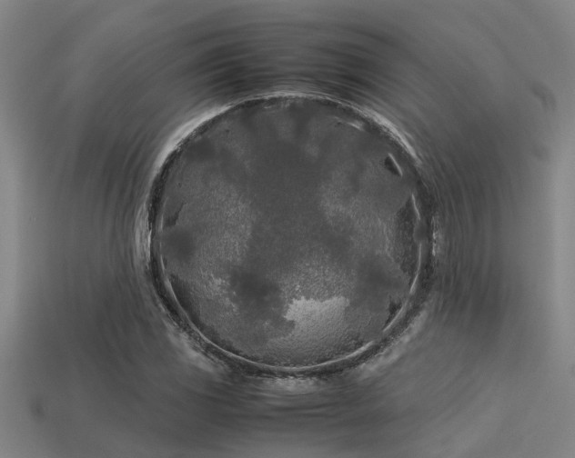 X0000113291117200909141158