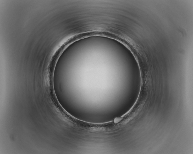 X0000113291118200909141158