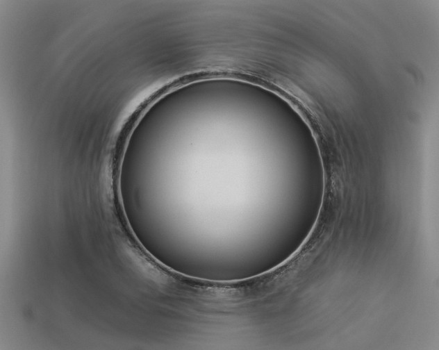 X0000113291120200909141158