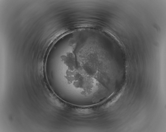 X0000113291121200909141158