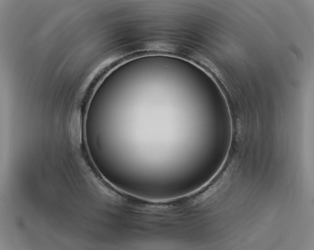 X0000113291123200909141158