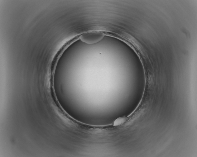 X0000113291124200909141158