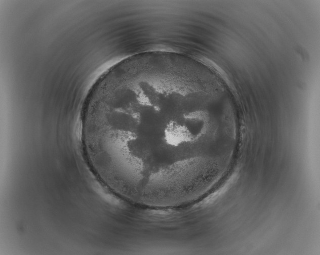 X0000113291125200909141158