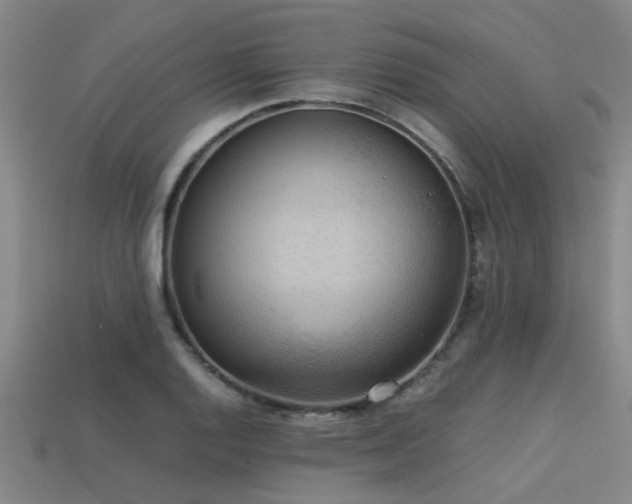 X0000113291128200909141158