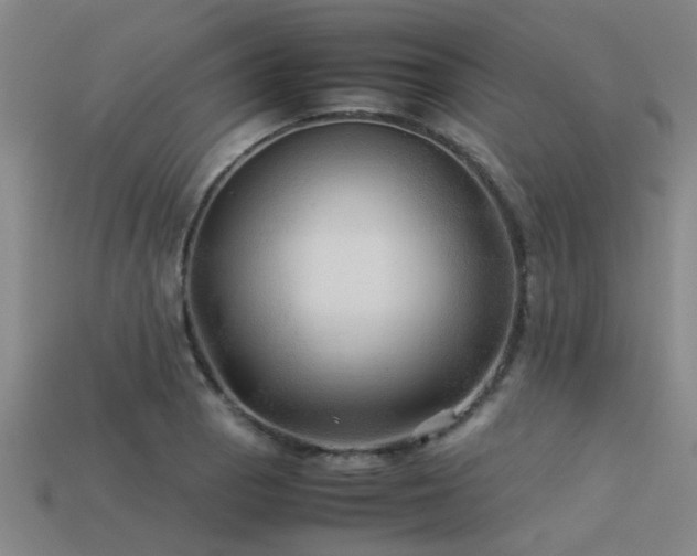 X0000113291129200909141158