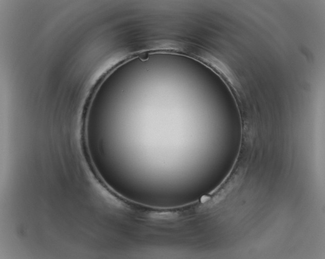 X0000113291135200909141158