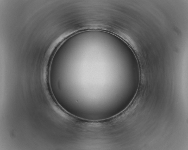 X0000113291136200909141158