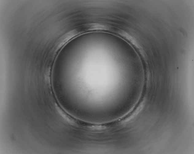 X0000113291137200909141158