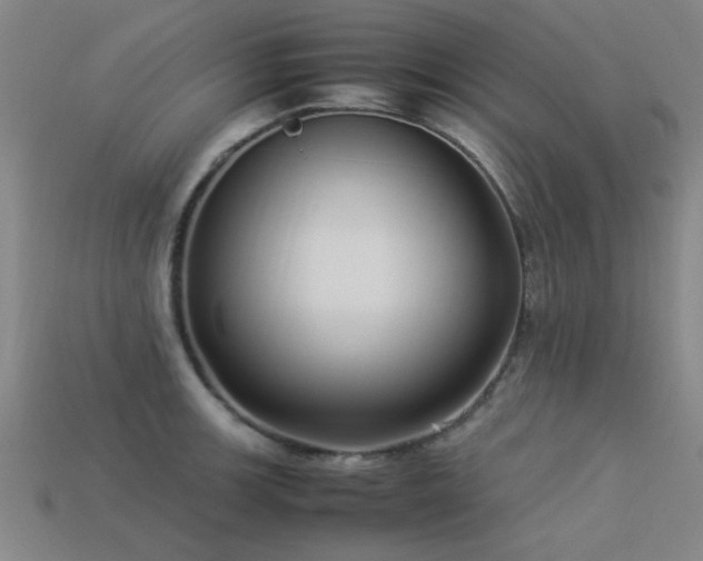 X0000113291139200909141159