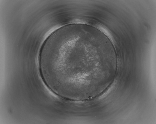 X0000113291141200909141159