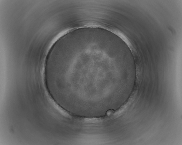 X0000113291142200909141159