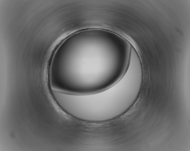 X0000113291144200909141159