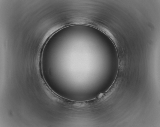 X0000113291146200909141159