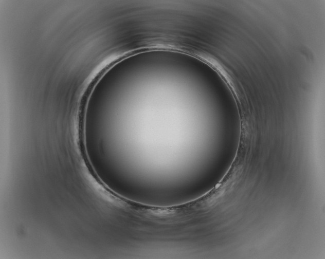 X0000113291147200909141159