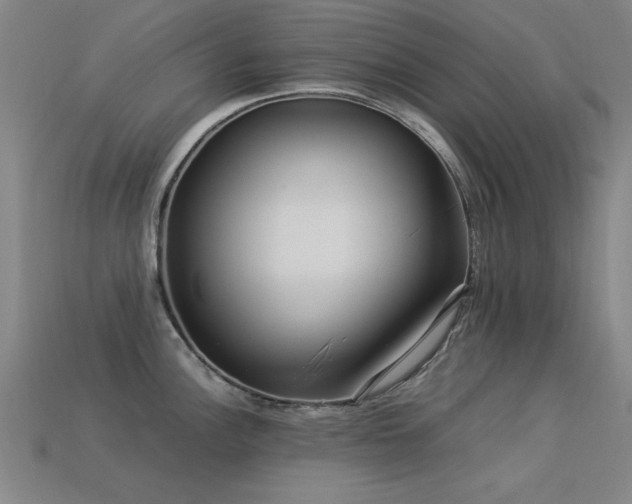 X0000113291148200909141159