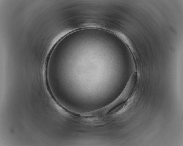 X0000113291149200909141159