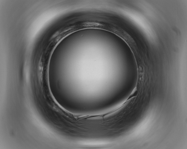 X0000113291151200909141159