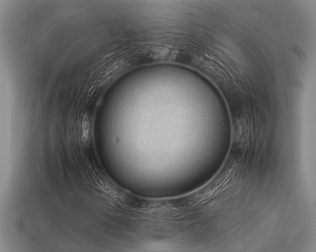 X0000113291154200909141158