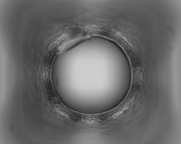 X0000113291157200909141158