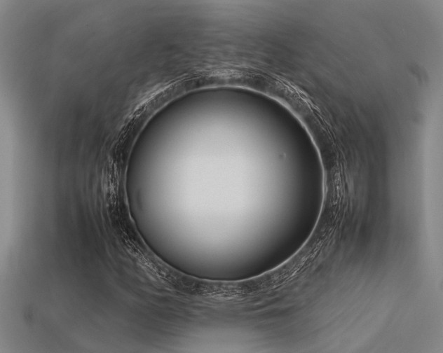 X0000113291158200909141158