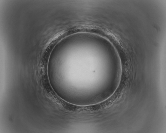 X0000113291159200909141158