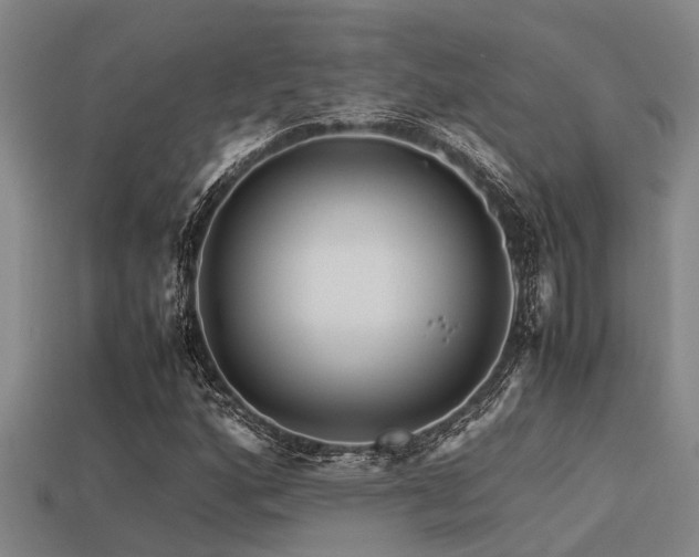 X0000113291160200909141158