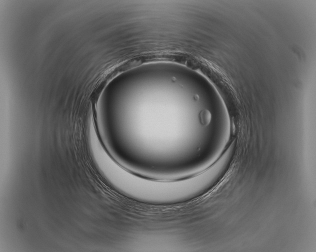 X0000113291161200909141158