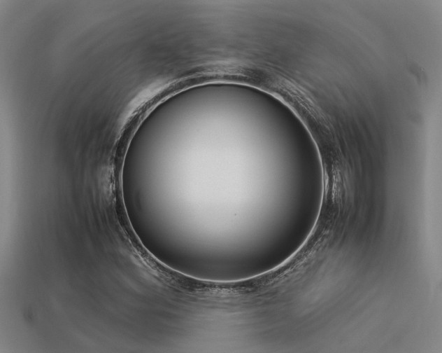 X0000113291164200909141158