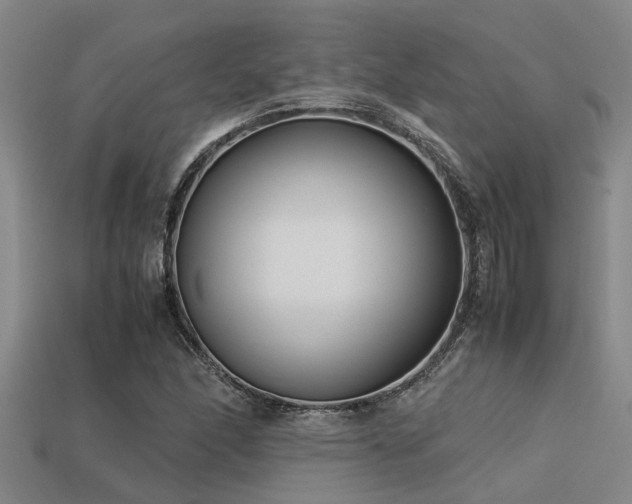 X0000113291166200909141158