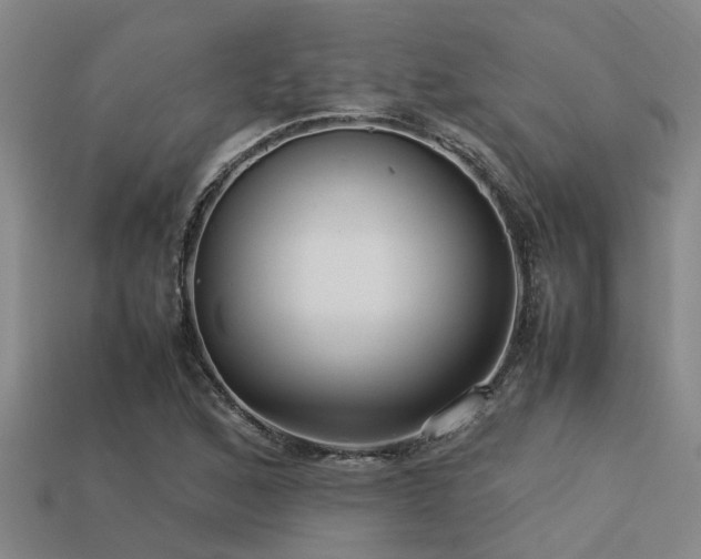 X0000113291168200909141158