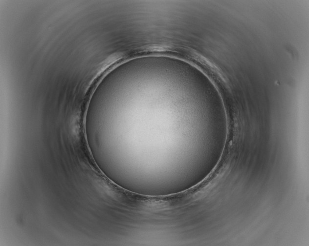 X0000113291170200909141158