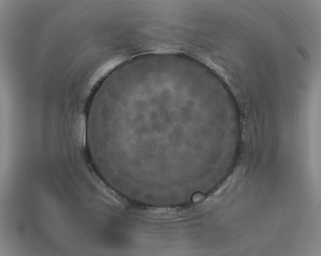 X0000113291171200909141158