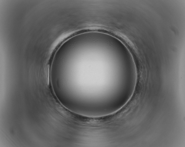 X0000113291175200909141158