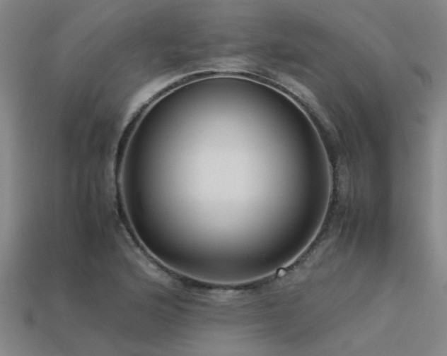 X0000113291176200909141158