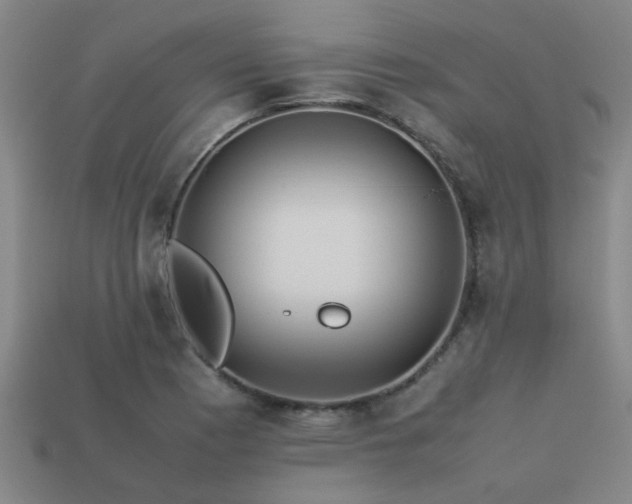 X0000113291177200909141158