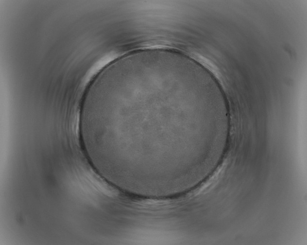 X0000113291179200909141158