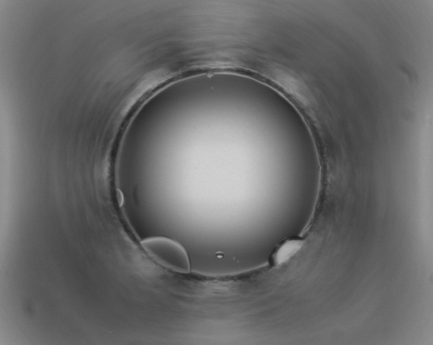 X0000113291181200909141158