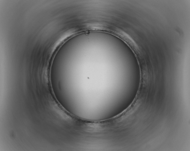 X0000113291182200909141158