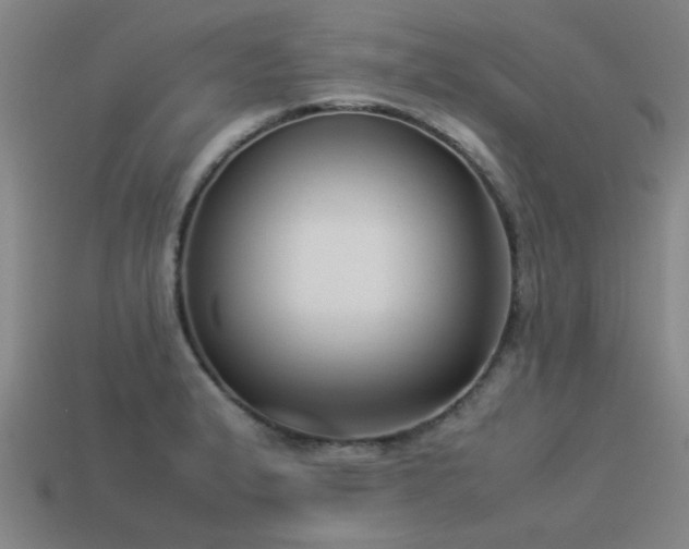 X0000113291183200909141158