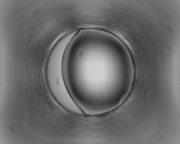 X0000113291189200909141157