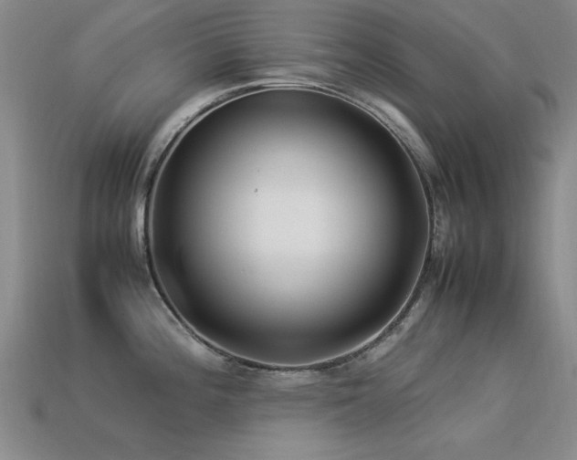 X0000113291196200909141157