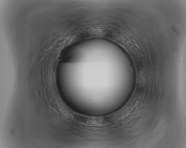 X0000113291201200909141157