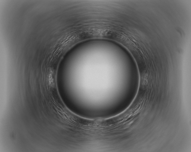 X0000113291202200909141157