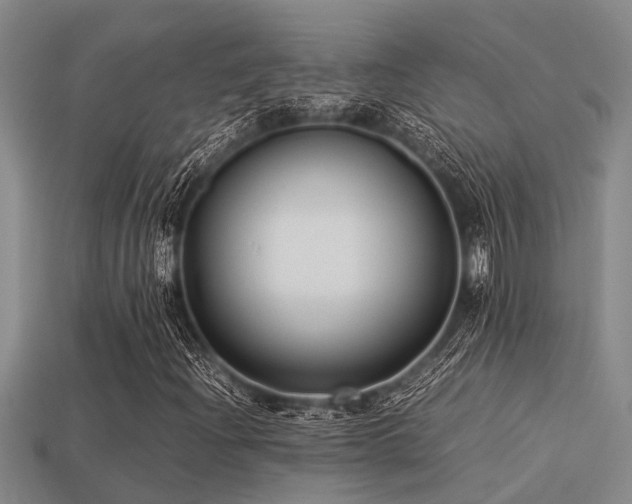 X0000113291204200909141157