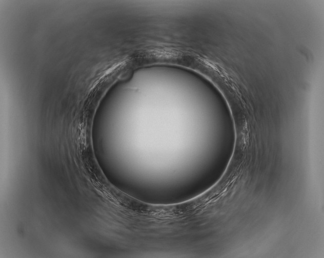 X0000113291205200909141157