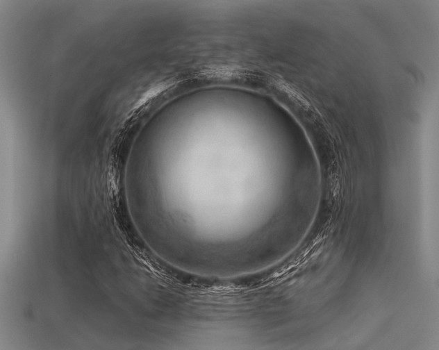 X0000113291206200909141157